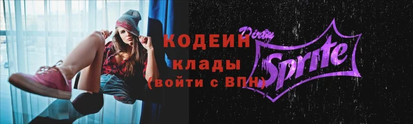 спиды Арсеньев